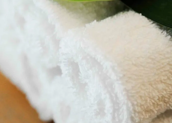 Ξενοδοχείο Restaurant La Tourmaline 3*